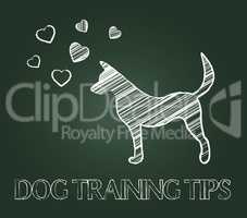 Dog Training Tips Shows Instruction Skills And Coaching