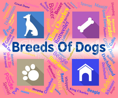 Breeds Of Dogs Represents Puppy Pups And Reproduce