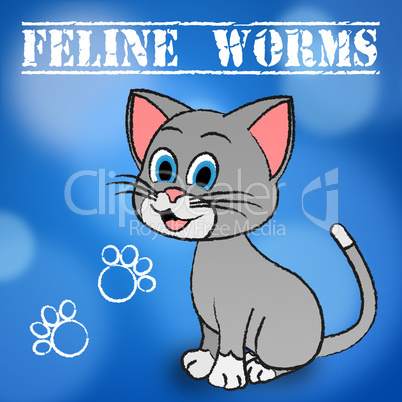 Feline Worms Indicates Domestic Cat And Cats
