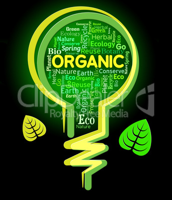 Organic Lightbulb Represents Nature Rural And Environmental