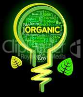 Organic Lightbulb Represents Nature Rural And Environmental