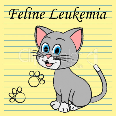 Feline Leukemia Represents Domestic Cat Cancer Illness