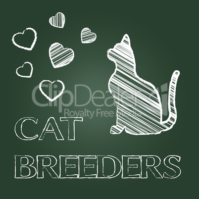 Cat Breeders Indicates Pet Offspring And Breeding
