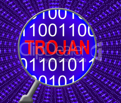 Computer Trojan Indicates Web Site And Communication