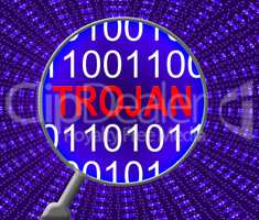 Computer Trojan Indicates Web Site And Communication