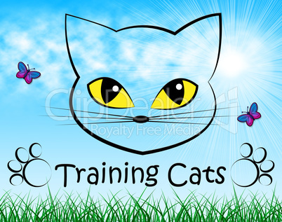 Training Cats Represents Pet Kitty And Trainer