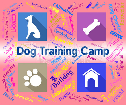 Dog Training Camp Indicates Group Trained And Coaching