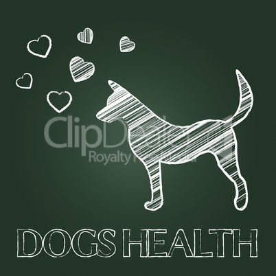 Dogs Health Shows Pups Care And Attention