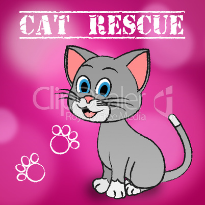 Cat Rescue Indicates Pets Saving And Recovering