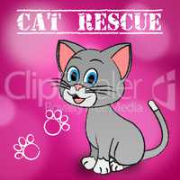 Cat Rescue Indicates Pets Saving And Recovering