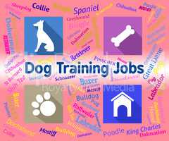 Dog Training Jobs Indicates Canines Jobs And Employment