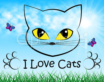 Love Cats Shows Tenderness Pedigree And Passion