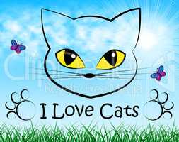 Love Cats Shows Tenderness Pedigree And Passion