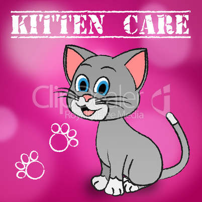 Kitten Care Means Looking After And Loving Cats