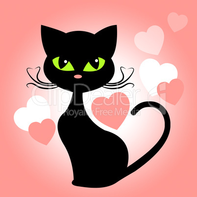 Cat Hearts Means In Love And Kittens