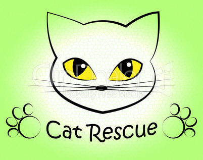 Cat Rescue Means Pet Kitty And Saving