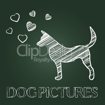 Dog Pictures Means Pets Images And Photographs