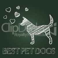 Best Pet Dogs Means Domestic Animals And Canine