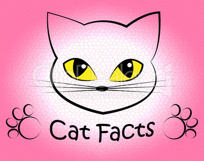 Cat Facts Shows Truth Data And Felines
