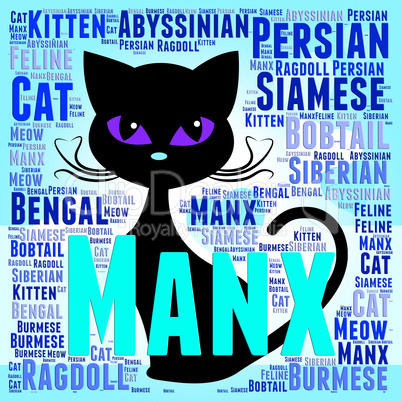 Manx Cat Represents Breeds Pets And Pedigree