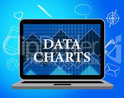 Data Charts Represents Web Site And Facts