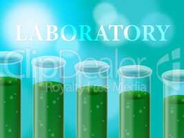 Laboratory Experiment Represents Analysis Examine And Assessment