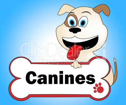 Canine With Bone Indicates Pups Pedigree And Pet