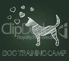 Dog Training Camp Shows Instruction Taught And Canine