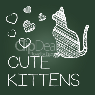 Cute Kittens Represents Domestic Cat And Adorable