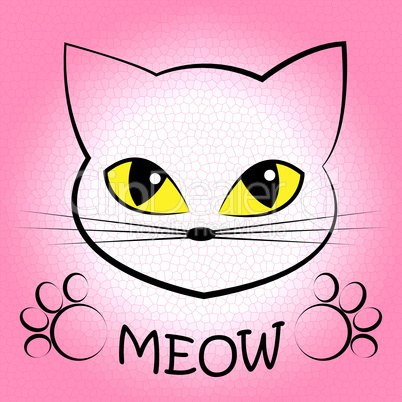Cat Meow Means Feline Noise And Sound