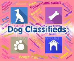 Dog Classifieds Represents Pups And Canines Media