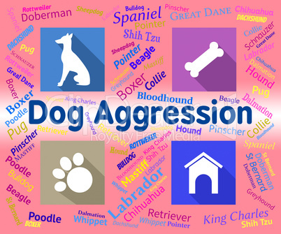 Dog Aggression Represents Angry Aggressor And Pet