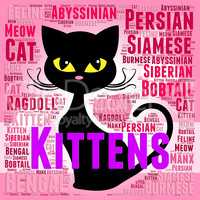 Kittens Words Represents Domestic Cat And Young