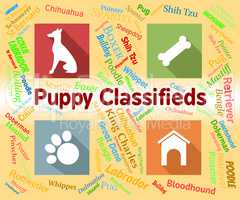 Puppy Classifieds Shows Doggy Ad And Canines