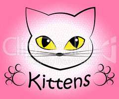 Kittens Word Means Domestic Cat And Cats