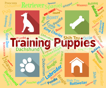 Training Puppies Represents Instruction Pedigree And Pets