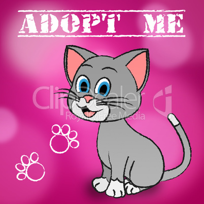 Adopt Cat Indicates Adoption Felines And Pet