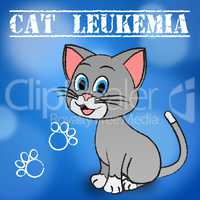 Cat Leukemia Indicates Bone Marrow And Cancer