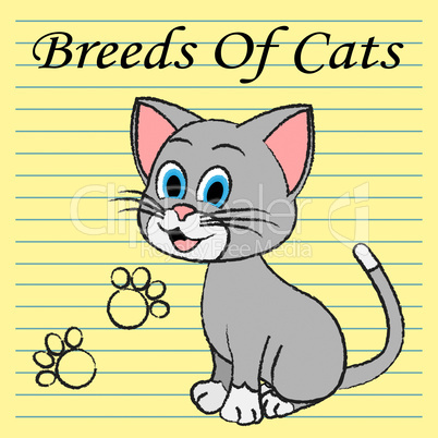 Breeds Of Cats Indicates Pets Puss And Pedigree