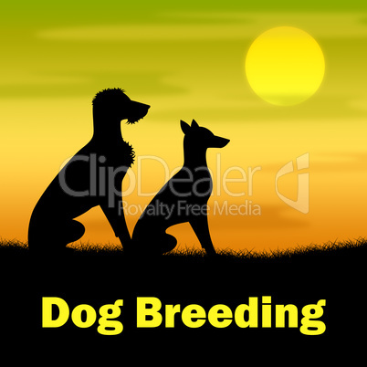 Dog Breeding Means Puppies Puppy And Darkness