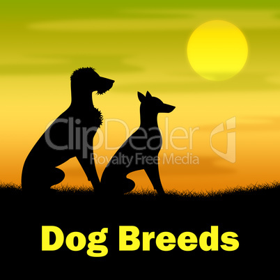 Dog Breeds Shows Pasture Puppy And Doggie