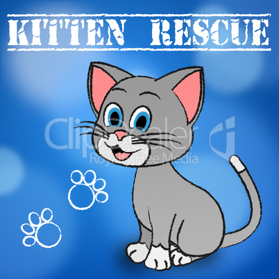 Kitten Rescue Indicates Domestic Cat And Cats