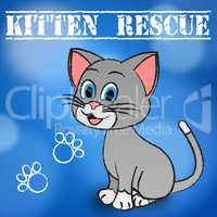 Kitten Rescue Indicates Domestic Cat And Cats