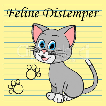 Feline Distemper Represents Domestic Cat And Cats