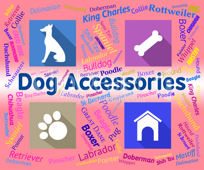 Dog Accessories Indicates Canine Accessory And Pedigree