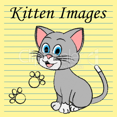 Kitten Images Shows Domestic Cat And Cats