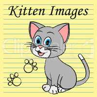 Kitten Images Shows Domestic Cat And Cats