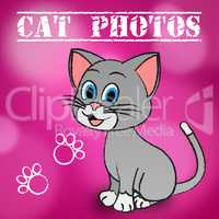 Cat Photos Indicates Snapshot Photography And Camera