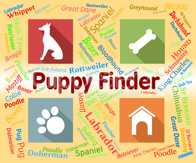Puppy Finder Shows Search Out And Choose