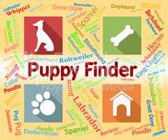 Puppy Finder Shows Search Out And Choose